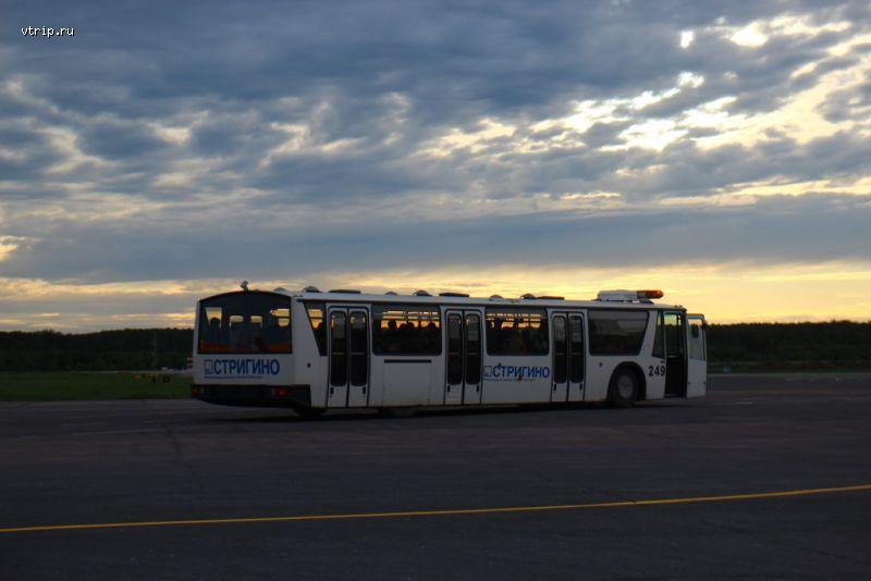 Перонный автобус