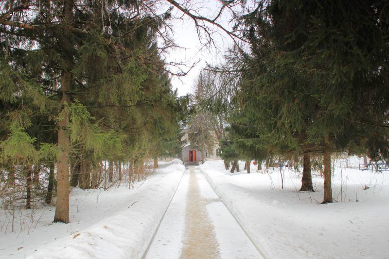 Аллея в парке