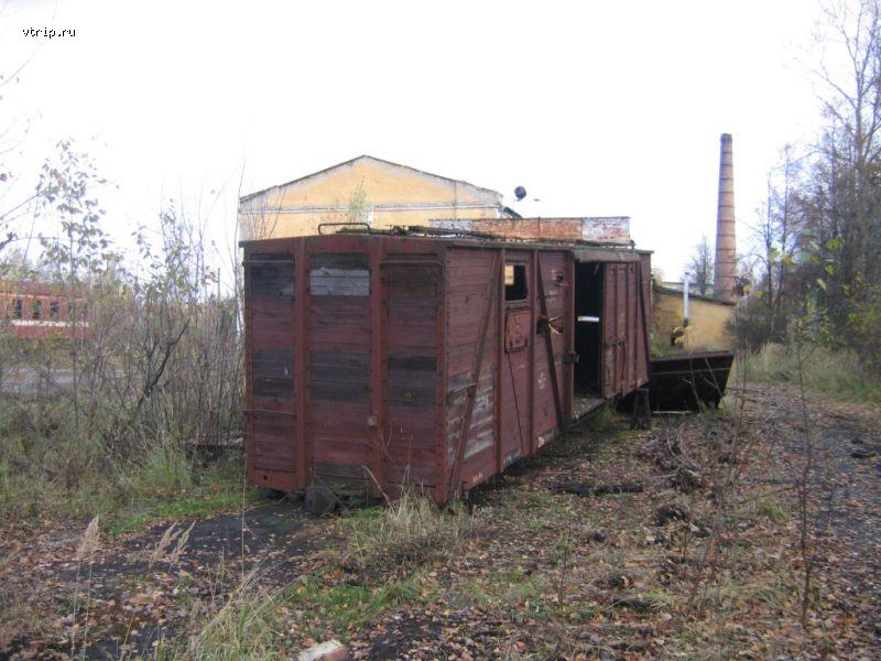 Остатки грузового узкоколейного вагона