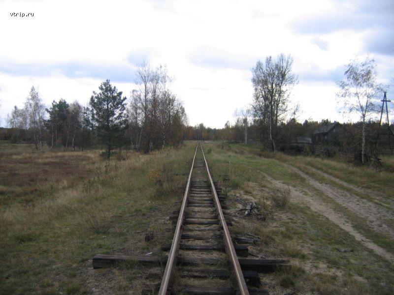 Путь в сторону Гуреевского и Тумской