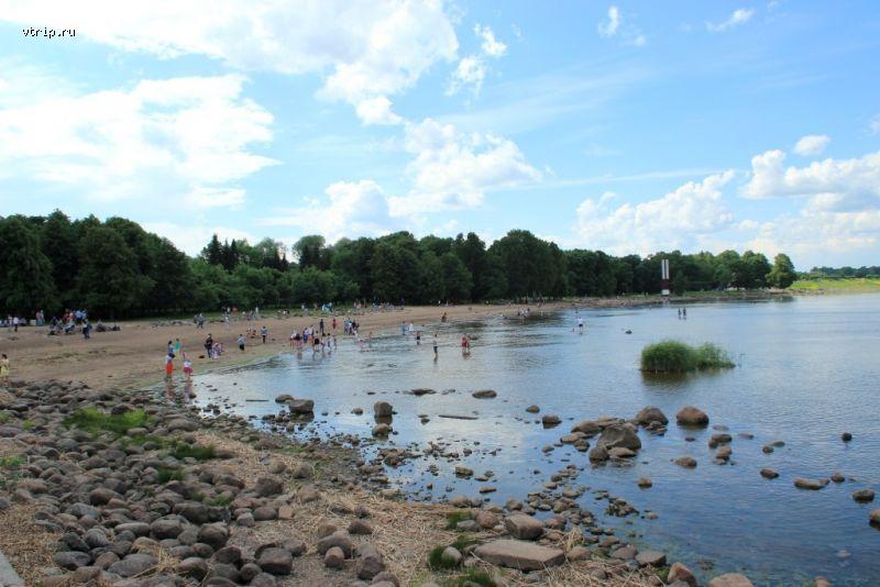 Побережье Финского залива