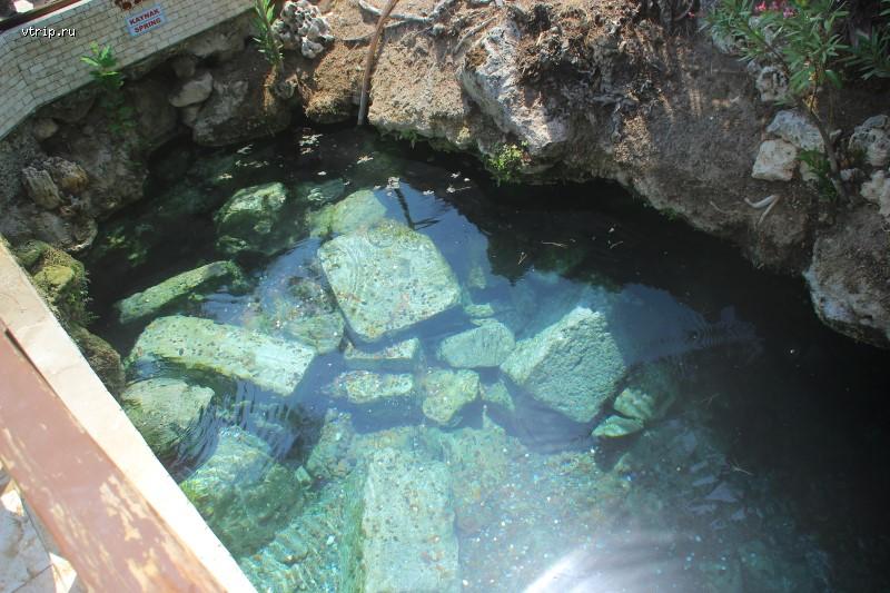 Исток воды в бассейне