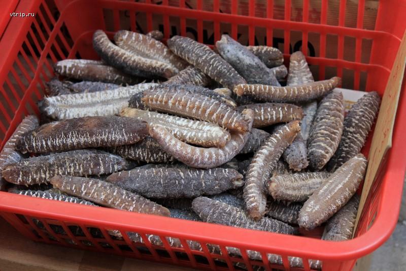 Морские огурцы