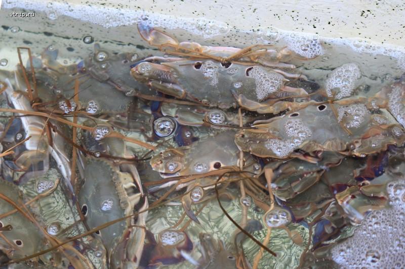 Морепродукты на рынке