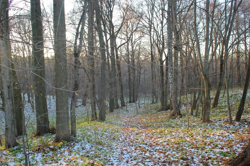 Аллея в парке