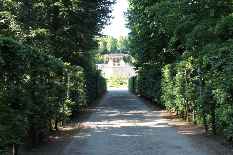 Аллея в парке