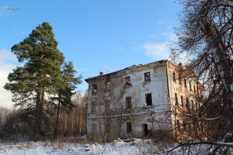 Главный дом усадьбы Воронцовых