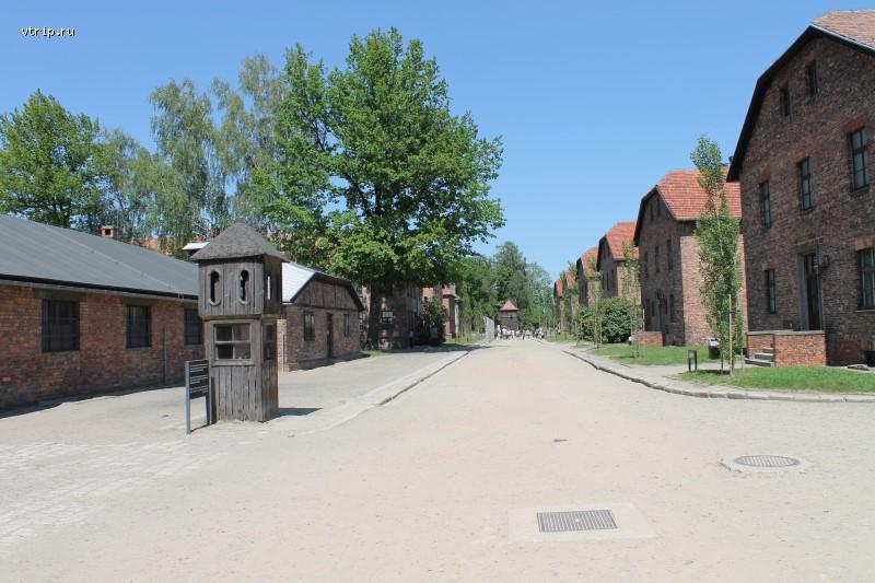 Колючая проволока