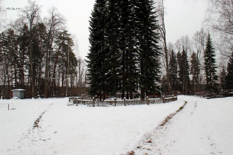 Перед главным домом усадьбы