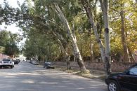 Платановая аллея
