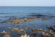 Море в Феодосии