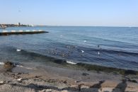 Море в Феодосии