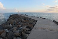 Буна в Лермонтове