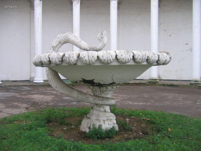 Змея в чаше