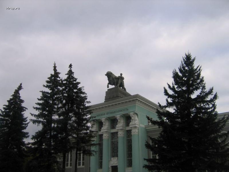 Павильон Мясная промышленность