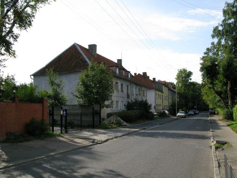 Улица Тельмана