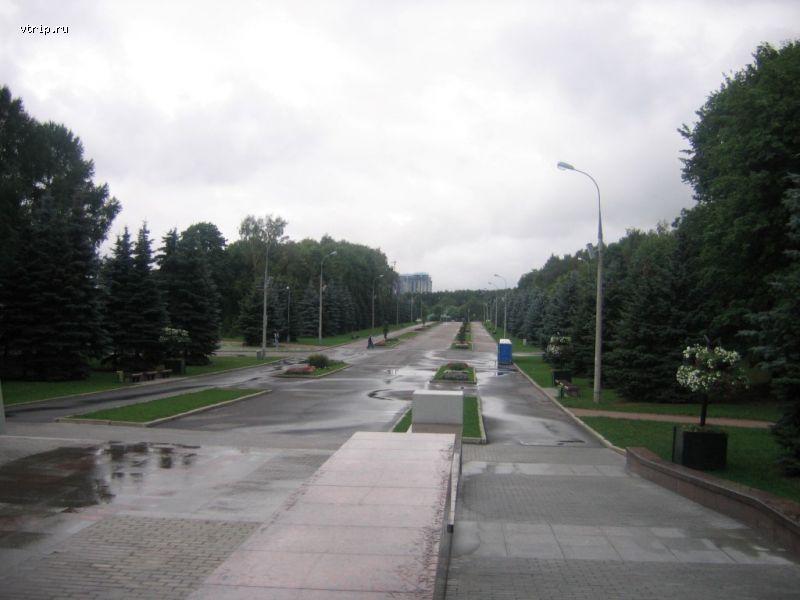В Парке Победы