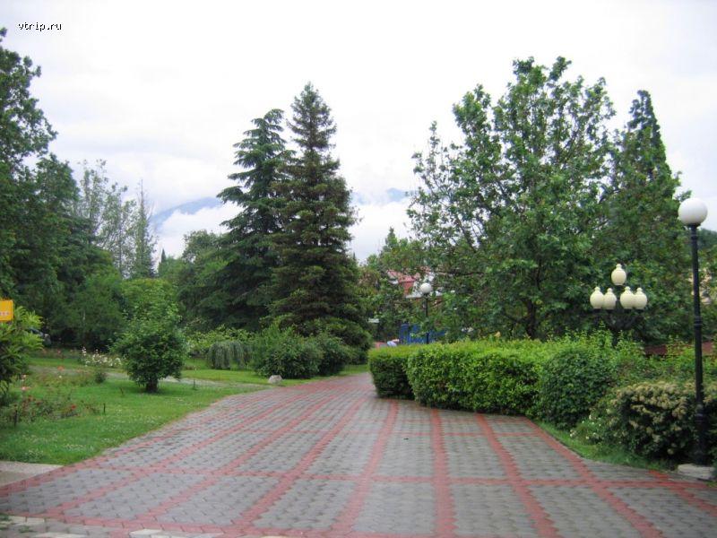 Дорожки в сквере