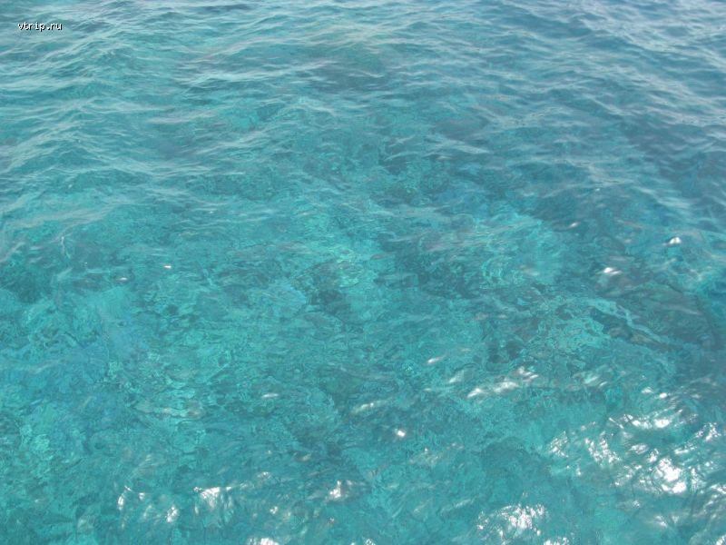 Цвет воды Красного моря