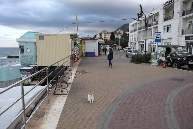Профессорский уголок в Алуште