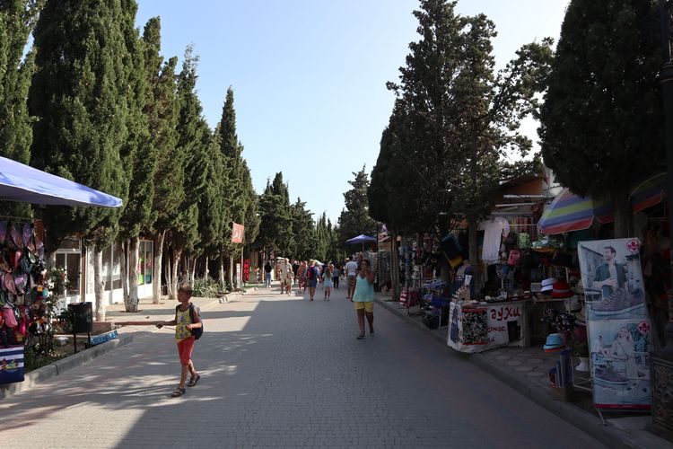 Кипарисовая аллея в Судаке