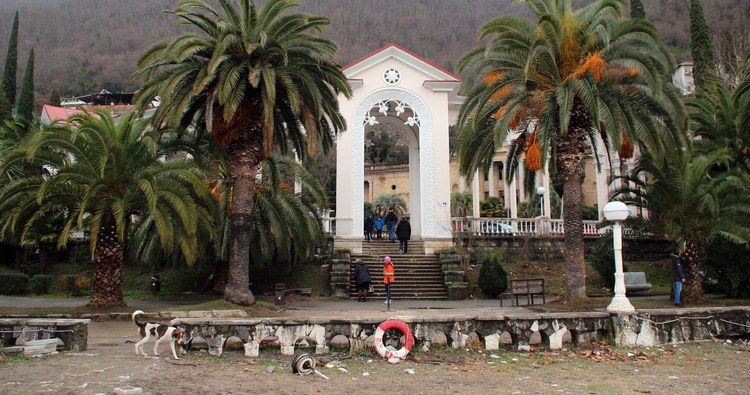 Приморский парк в Гагре