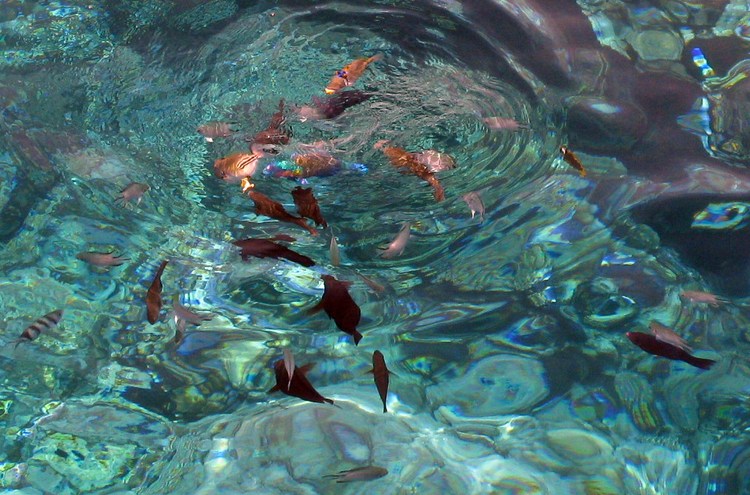 Красное море