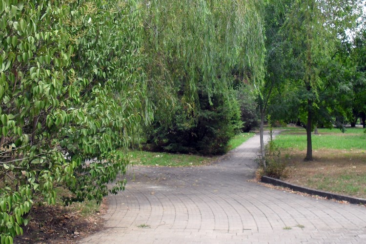 Парк культуры и отдыха в Адлере