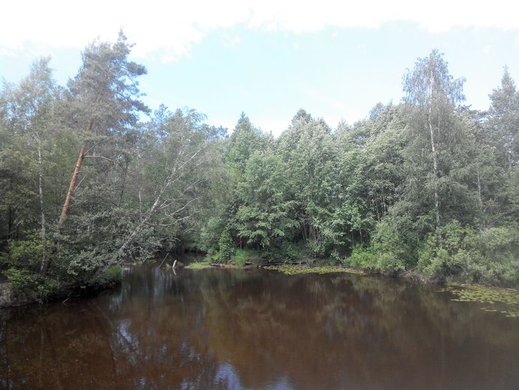 Река Сезух