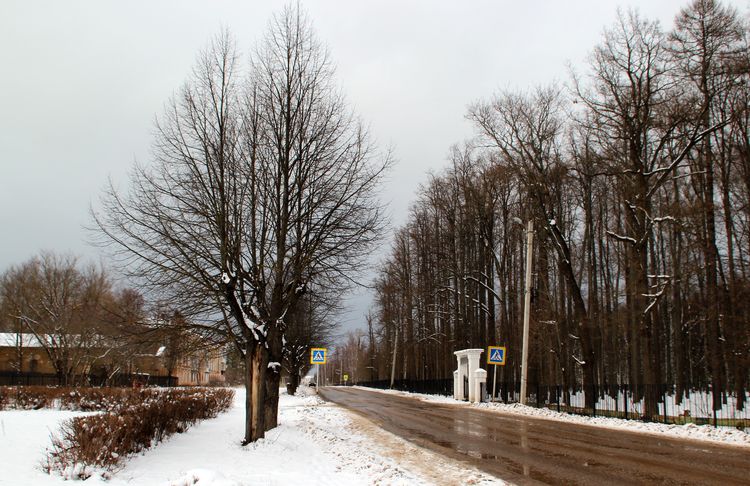 Городской парк в Вичуге