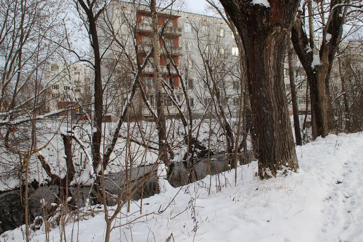 Река Пезуха