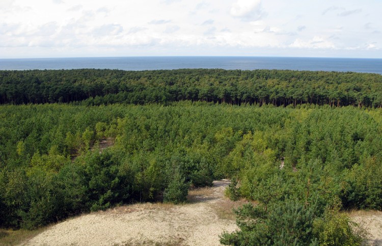 Куршская коса в Калининграде