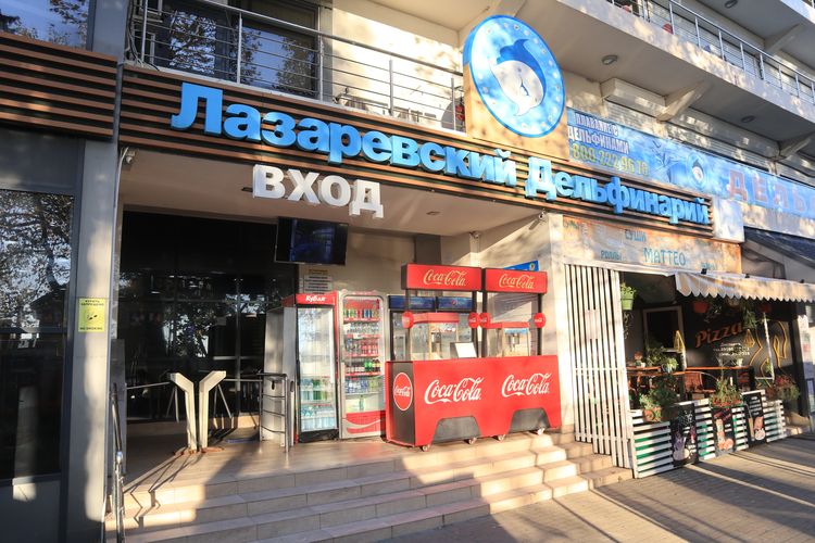 Дельфинарий «Морская Звезда» в Лазаревском