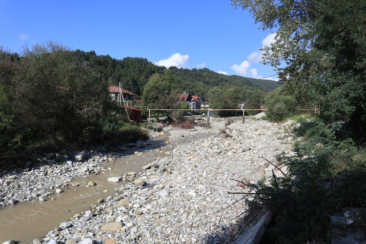 Село Солоники
