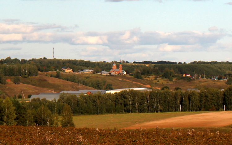 Рождественская церковь в Пайгусово