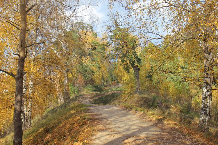 Городецкий вал