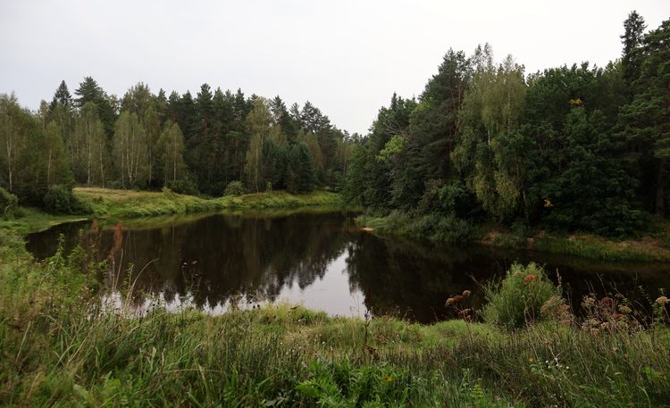 Река Керженец
