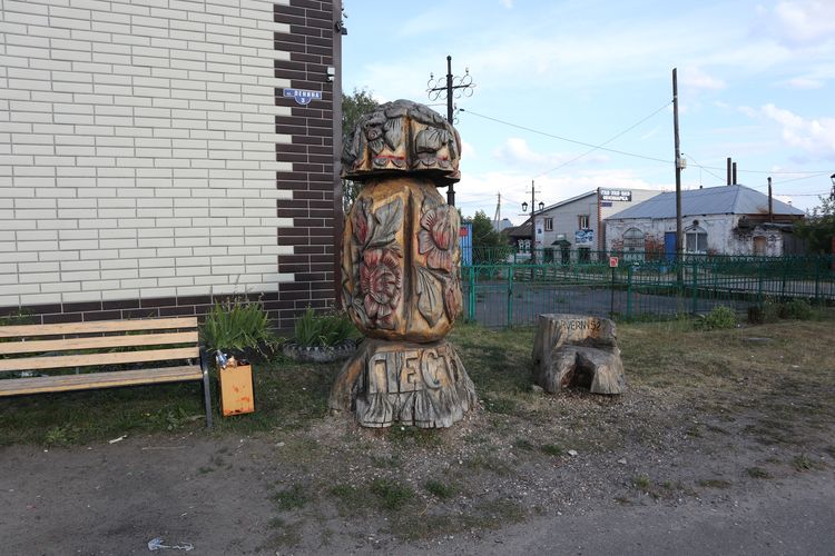 Пестяковский «царь-гриб»
