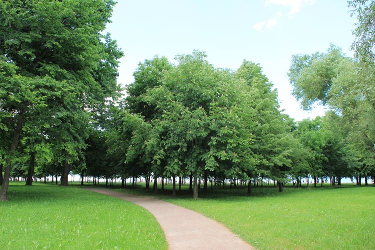 Нижний парк Петергофа