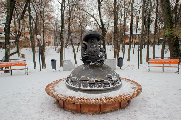 Грибы с глазами в Рязани