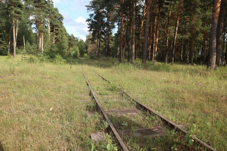 Узкоколейка в Болони