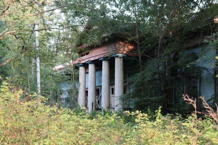 Усадьба Карповых «Сушнево»