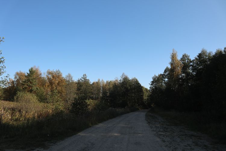 Дорога Нижний Ландех - Мугреевский