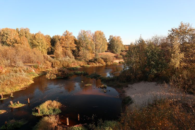 Село Талицы