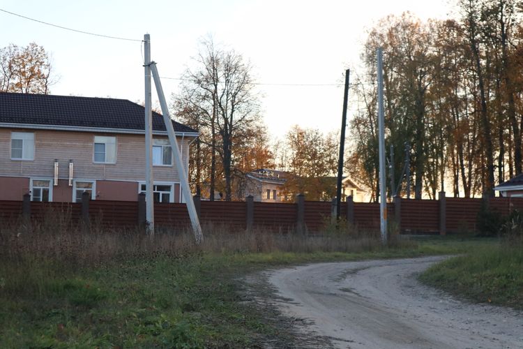 Усадьба Замыцкого в Домнино